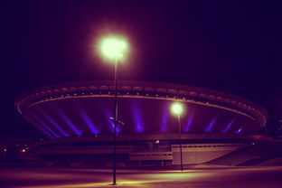 乐鱼体育官网网址-2025电竞新篇章：超级联赛精彩纷呈，谁会登顶？，2020电竞赛事